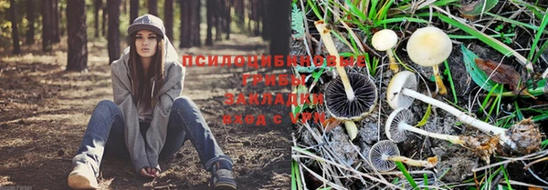 таблы Балабаново