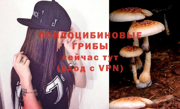 Альфа ПВП Баксан